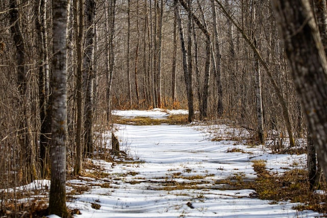 TBD Cormant Rd NE, Kelliher, MN 56650