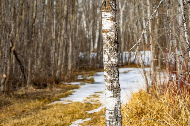 TBD Cormant Rd NE, Kelliher, MN 56650