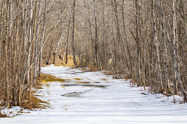 TBD Cormant Rd NE, Kelliher, MN 56650