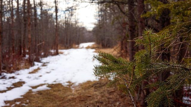 TBD Cormant Rd NE, Kelliher, MN 56650
