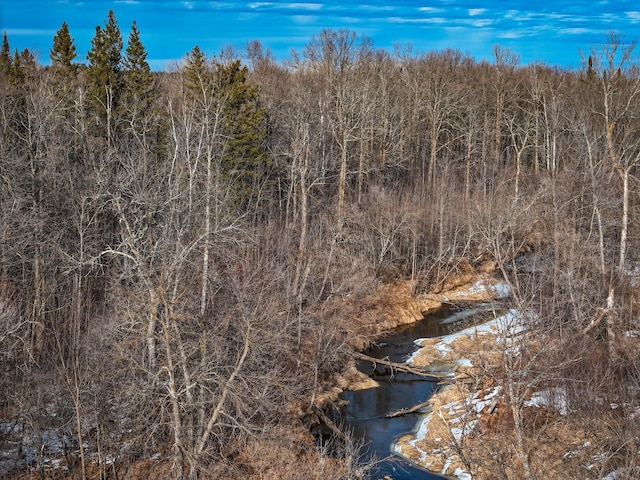 TBD Cormant Rd NE, Kelliher, MN 56650