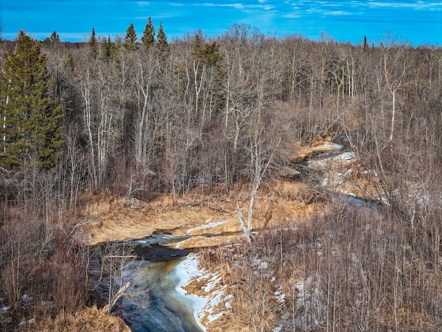 TBD Cormant Rd NE, Kelliher, MN 56650
