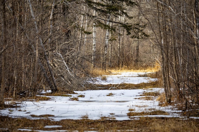 TBD Cormant Rd NE, Kelliher, MN 56650