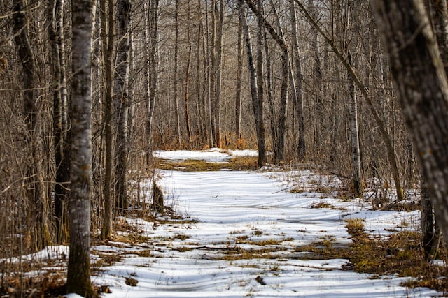 TBD Cormant Rd NE, Kelliher, MN 56650