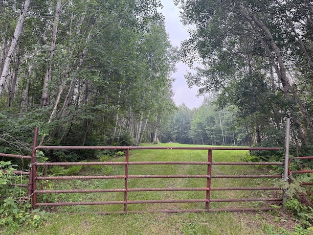TBD Cormant Rd NE, Kelliher, MN 56650 - photo 6