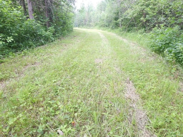 TBD Cormant Rd NE, Kelliher, MN 56650 - photo 8