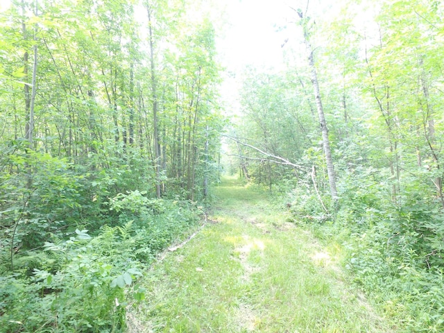 TBD Cormant Rd NE, Kelliher, MN 56650 - photo 10