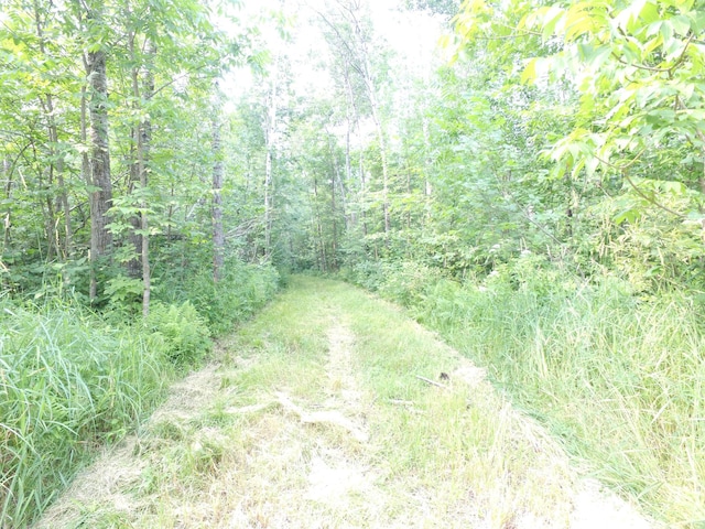 TBD Cormant Rd NE, Kelliher, MN 56650 - photo 12