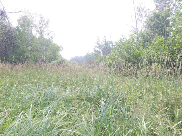 TBD Cormant Rd NE, Kelliher, MN 56650 - photo 14