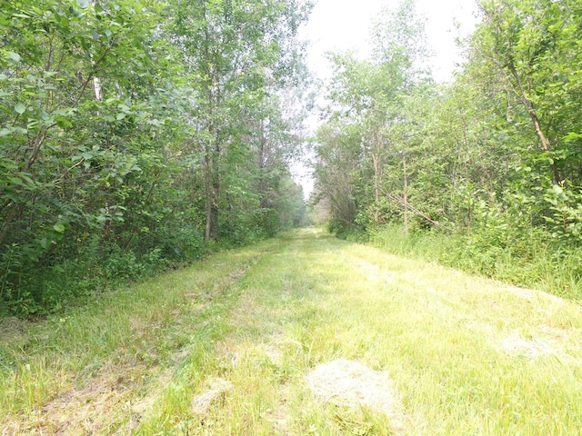 TBD Cormant Rd NE, Kelliher, MN 56650 - photo 15