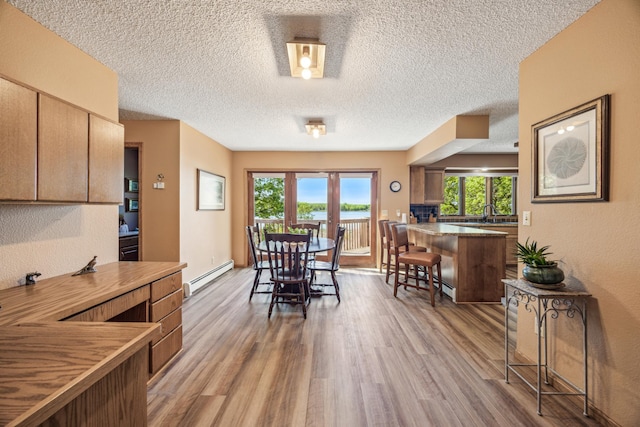 12975 185th St, Cold Spring, MN 56320 - dining room with baseboard heating, light wood-style floors, healthy amount of natural light, and a textured ceiling
