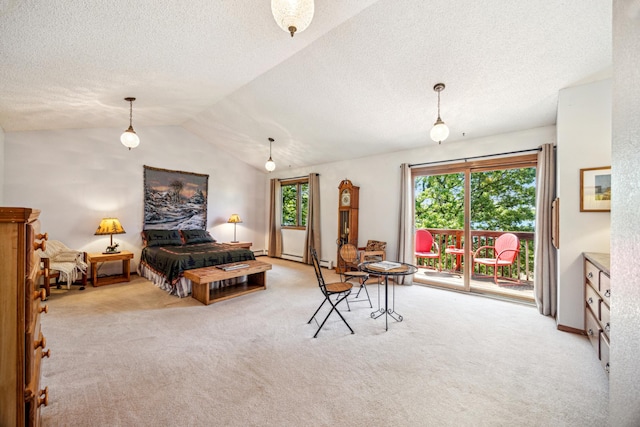 12975 185th St, Cold Spring, MN 56320 - carpeted bedroom featuring access to exterior, vaulted ceiling, a textured ceiling, and a baseboard radiator