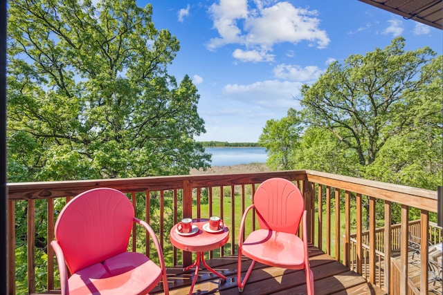 12975 185th St, Cold Spring, MN 56320 - photo 23