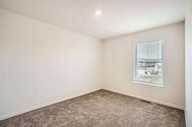 39685 Fallbrook Ave, North Branch, MN 55056 - empty room featuring carpet floors, baseboards, and a textured ceiling