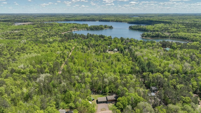 3015 Aspen Ter, Scott Twp, WI 54830 - view of property location with a forest and a nearby body of water