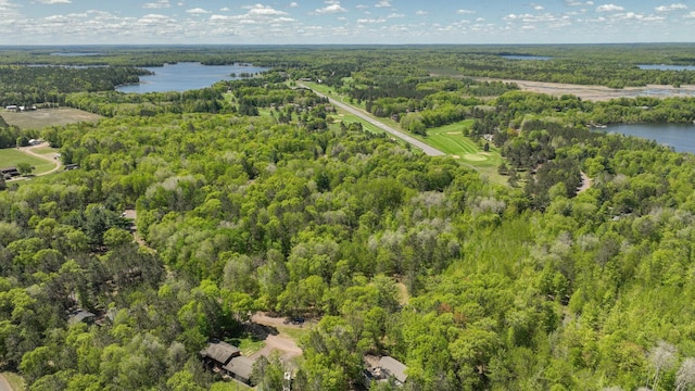 3015 Aspen Ter, Scott Twp, WI 54830 - aerial view of property and surrounding area featuring a forest and a large body of water