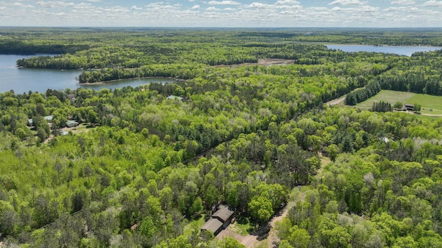 3015 Aspen Ter, Scott Twp, WI 54830 - aerial view of a forest and a nearby body of water