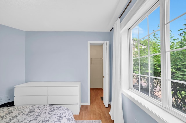 2225 Ranchview Ln N Unit 1, Plymouth, MN 55447 - bedroom with light wood-style floors and a spacious closet