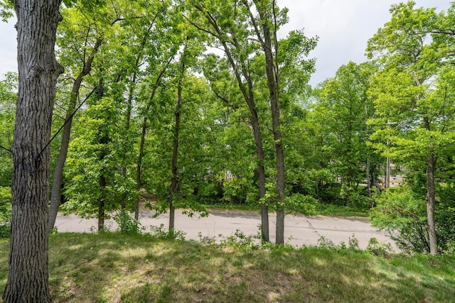 30124 Circle Dr, Breezy Point, MN 56472 - view of yard
