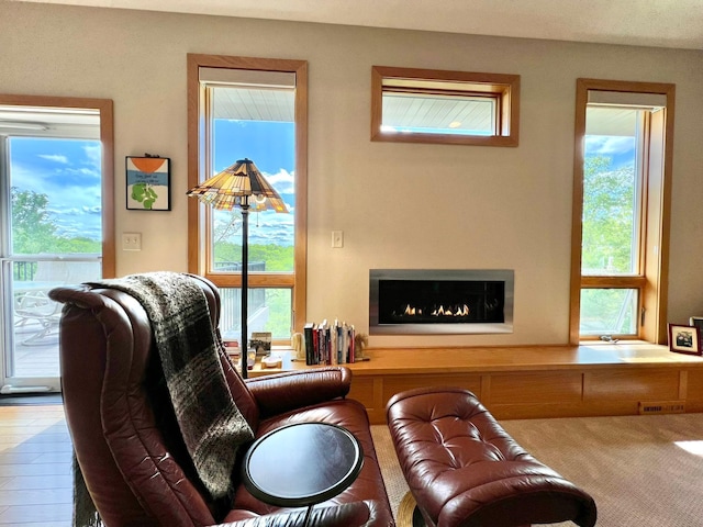 2774 Pine Ridge Blvd, Red Wing, MN 55066 - living area with a lit fireplace