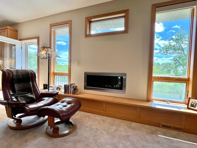 2774 Pine Ridge Blvd, Red Wing, MN 55066 - sitting room featuring plenty of natural light, carpet, and a glass covered fireplace