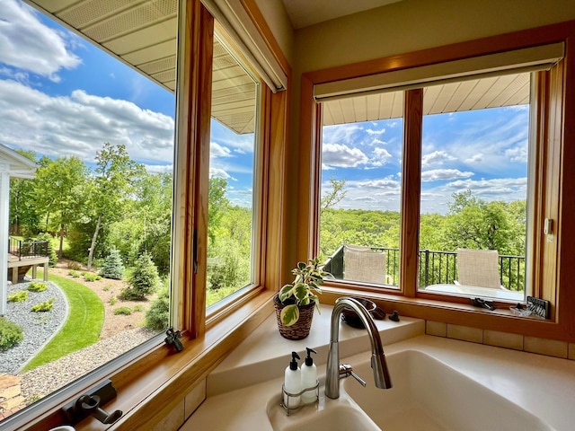 2774 Pine Ridge Blvd, Red Wing, MN 55066 - kitchen view of a sink and a tree filled landscape