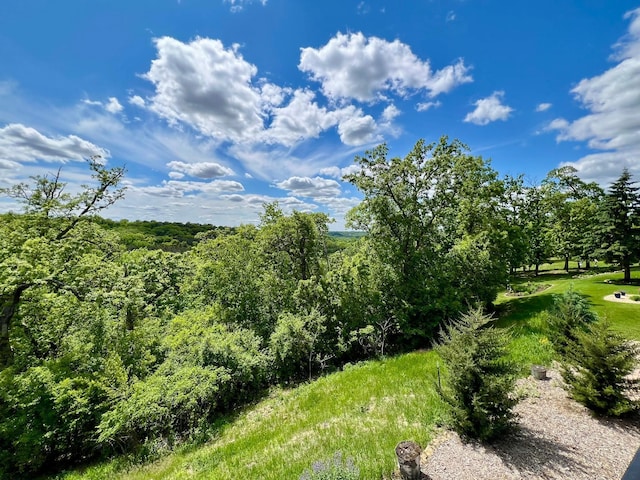 2774 Pine Ridge Blvd, Red Wing, MN 55066 - view of undeveloped land