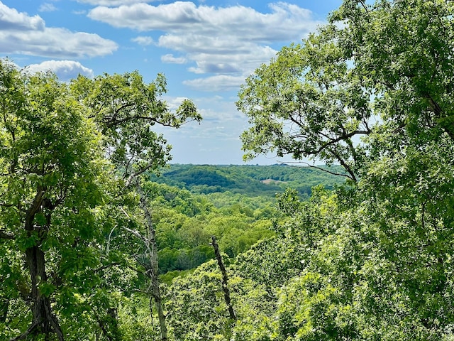 2774 Pine Ridge Blvd, Red Wing, MN 55066 - mountain view featuring a heavily wooded area