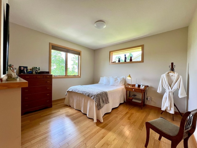 2774 Pine Ridge Blvd, Red Wing, MN 55066 - bedroom featuring light wood-style flooring