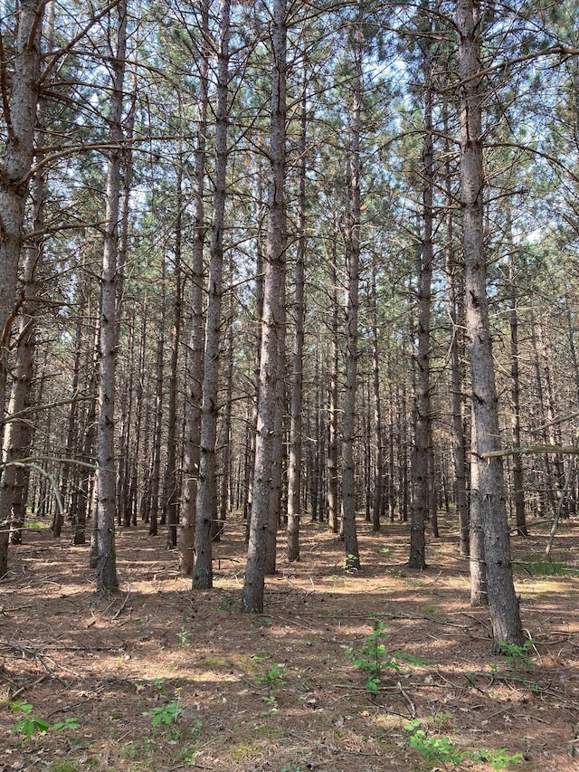 LOT6 Fawn Lake Rd, Breezy Point, MN 56472