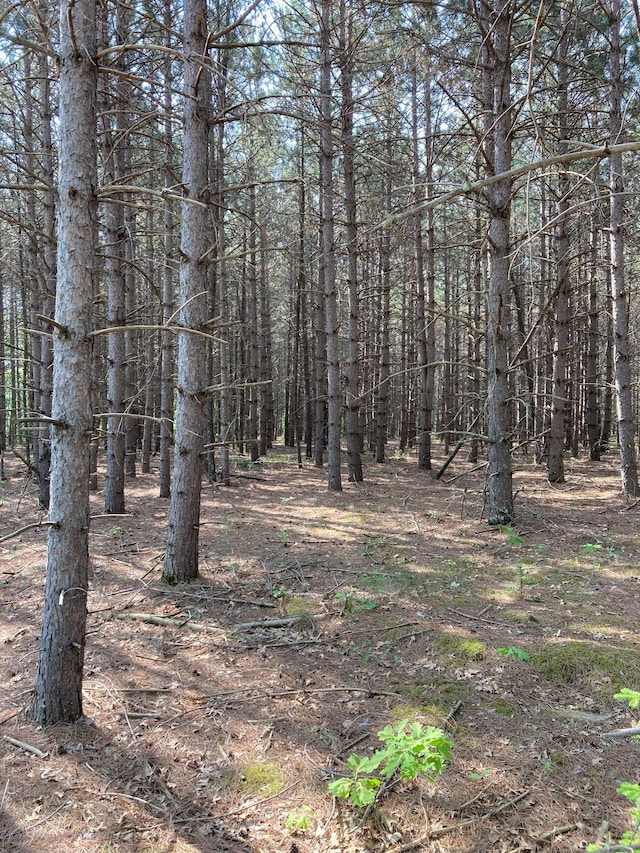 LOT6 Fawn Lake Rd, Breezy Point, MN 56472
