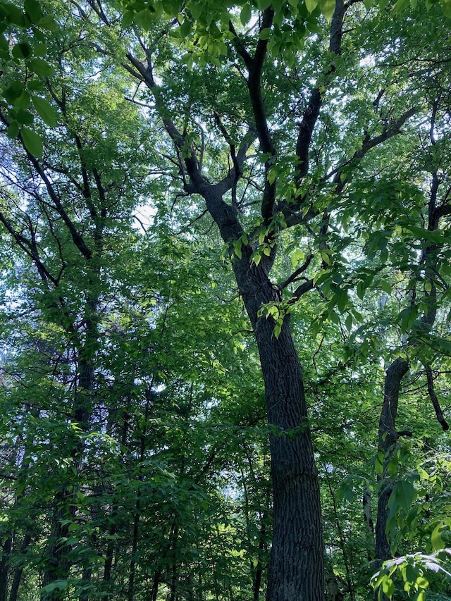 LOT6 Fawn Lake Rd, Breezy Point, MN 56472