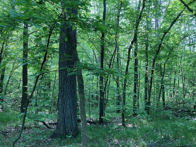 LOT6 Fawn Lake Rd, Breezy Point, MN 56472