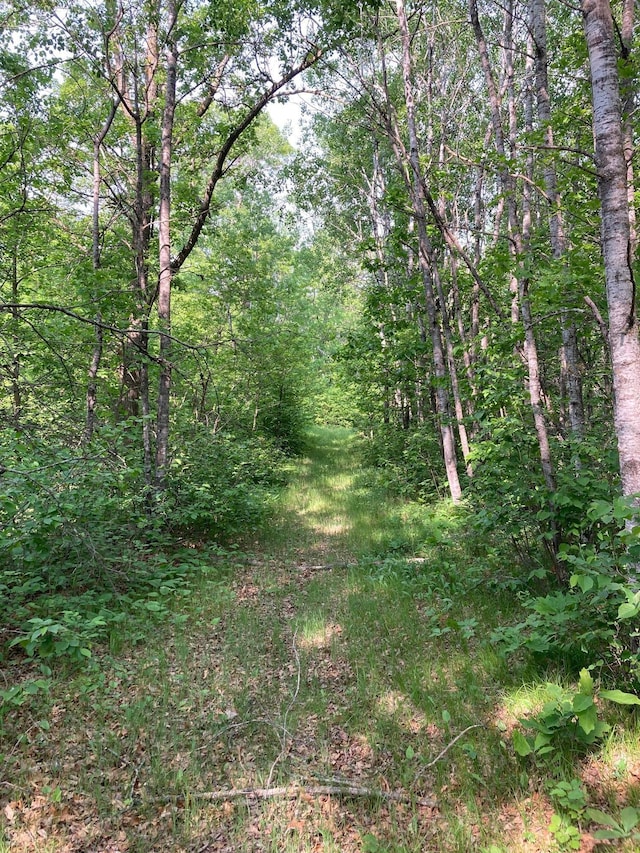 LOT6 Fawn Lake Rd, Breezy Point, MN 56472