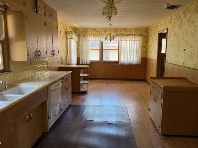510 2nd Ave NW, Milaca, MN 56353 - kitchen featuring dishwasher, plenty of natural light, wainscoting, and light countertops