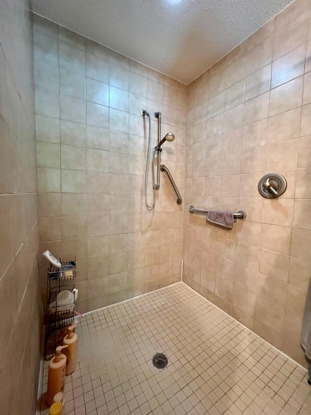 964 Aurora Cir, Red Wing, MN 55066 - full bath featuring a tile shower and a textured ceiling