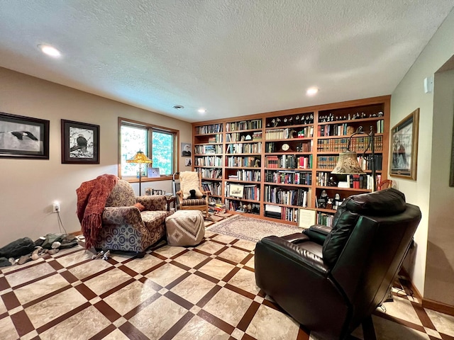 964 Aurora Cir, Red Wing, MN 55066 - living area featuring recessed lighting and a textured ceiling