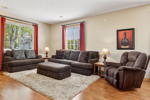 18571 98th Ave N, Maple Grove, MN 55311 - living room with light wood-style flooring and a textured ceiling