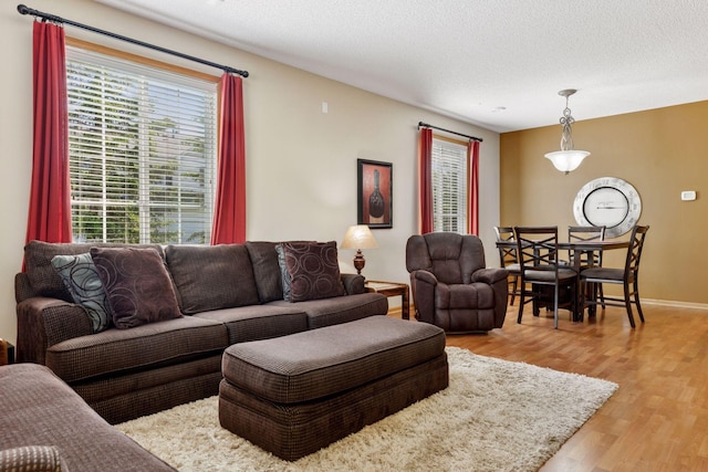 18571 98th Ave N, Maple Grove, MN 55311 - living room with healthy amount of natural light, wood finished floors, a textured ceiling, and baseboards