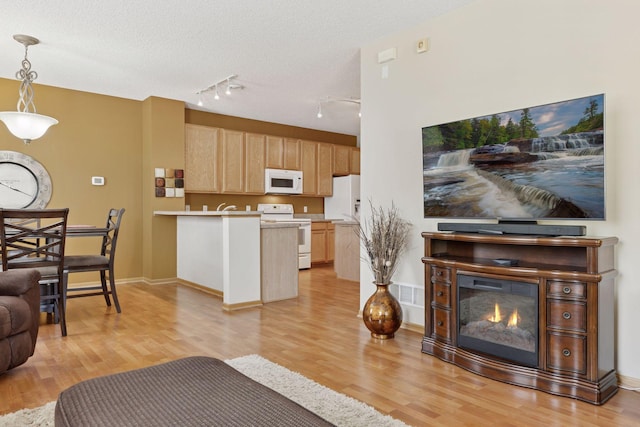 18571 98th Ave N, Maple Grove, MN 55311 - living area with light wood-type flooring, a glass covered fireplace, baseboards, track lighting, and a textured ceiling