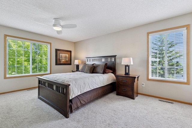 18571 98th Ave N, Maple Grove, MN 55311 - bedroom with carpet floors, baseboards, multiple windows, and a textured ceiling