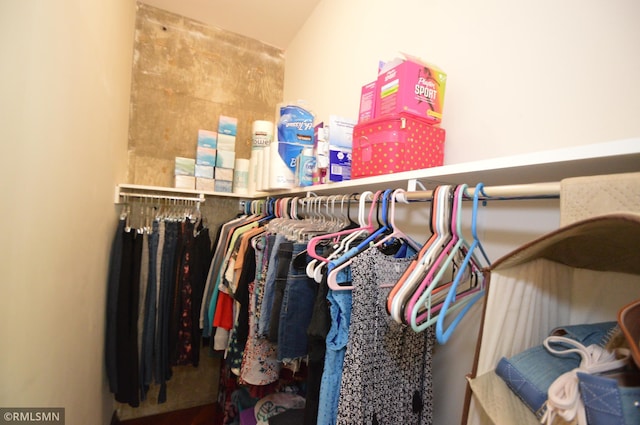 5601 Smetana Dr Unit 518, Minnetonka, MN 55343 - view of spacious closet