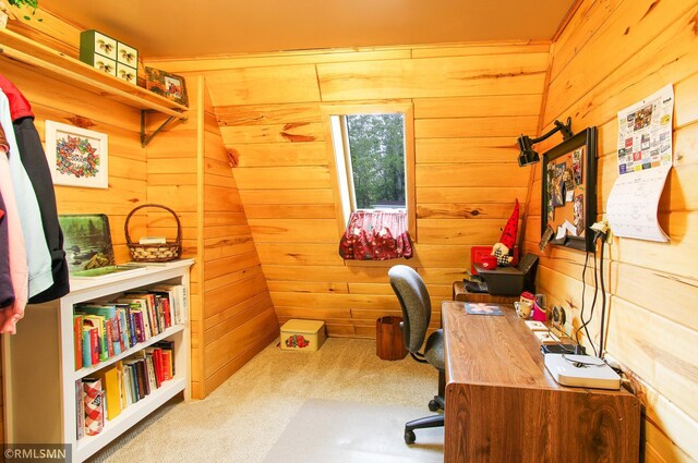 66893 185th Pl, Jacobson, MN 55752 - office space with wooden walls and carpet floors