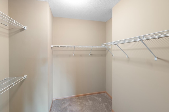 18147 73rd Pl N, Maple Grove, MN 55311 - photo 35
