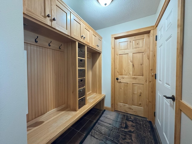 25797 Silver Beach Rd, Minnewaska Twp, MN 56334 - mudroom with dark tile patterned flooring and a textured ceiling