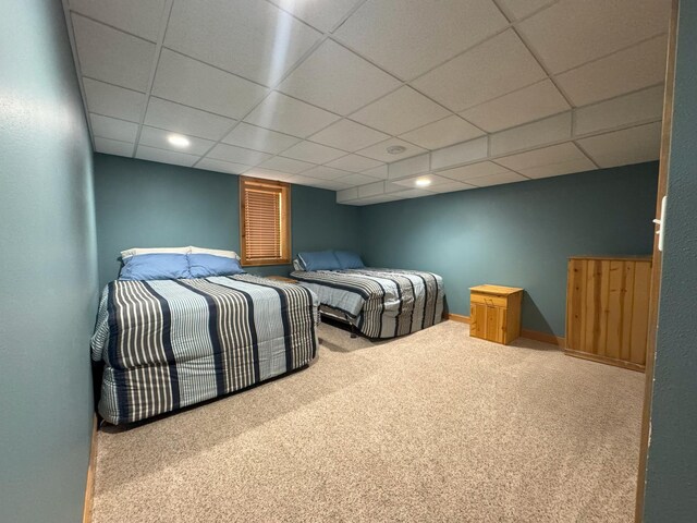 25797 Silver Beach Rd, Minnewaska Twp, MN 56334 - carpeted bedroom featuring a paneled ceiling and baseboards