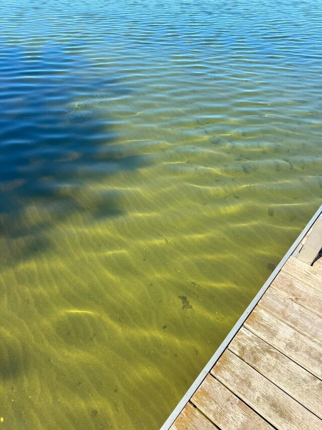 25797 Silver Beach Rd, Minnewaska Twp, MN 56334 - dock with a water view