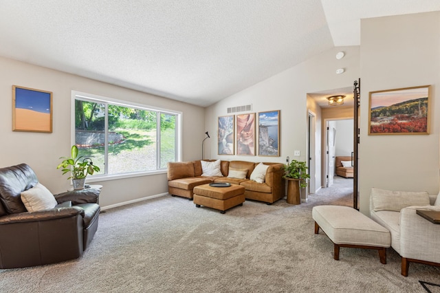 805 Natalie Dr, Buffalo, MN 55313 - carpeted living room with lofted ceiling, a textured ceiling, and baseboards