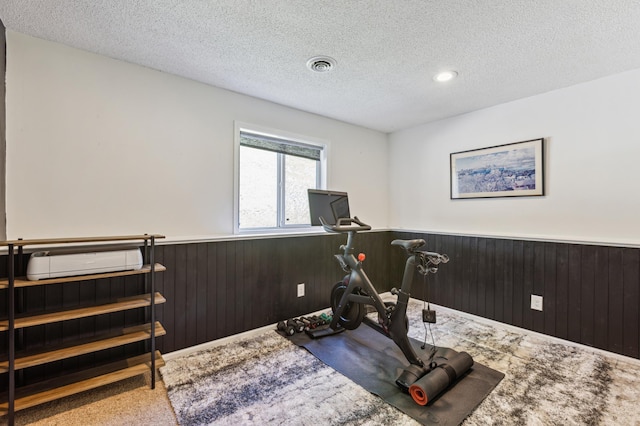 805 Natalie Dr, Buffalo, MN 55313 - workout room with a wainscoted wall, a textured ceiling, carpet floors, and wood walls