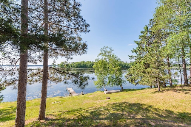 6685 Point Dr, Ideal Twp, MN 56474 - photo 8